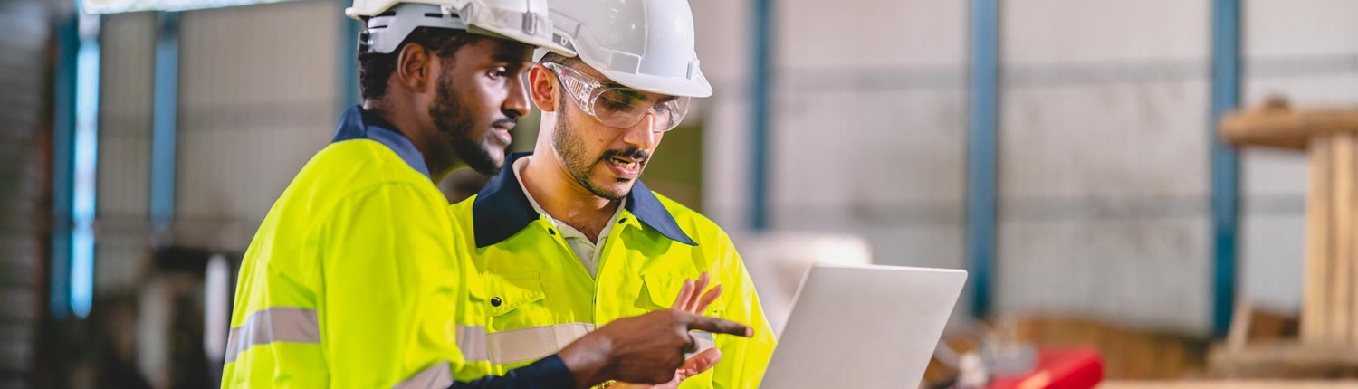 Image of two workers looking at a laptop.